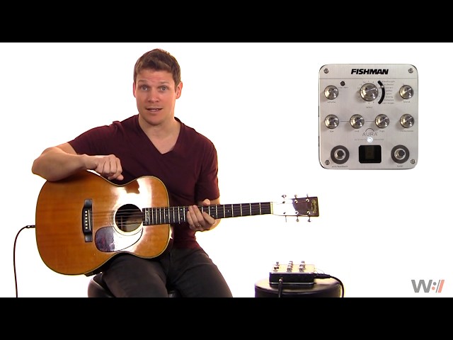 Fishman Aura Spectrum DI Demonstration and Review - YouTube