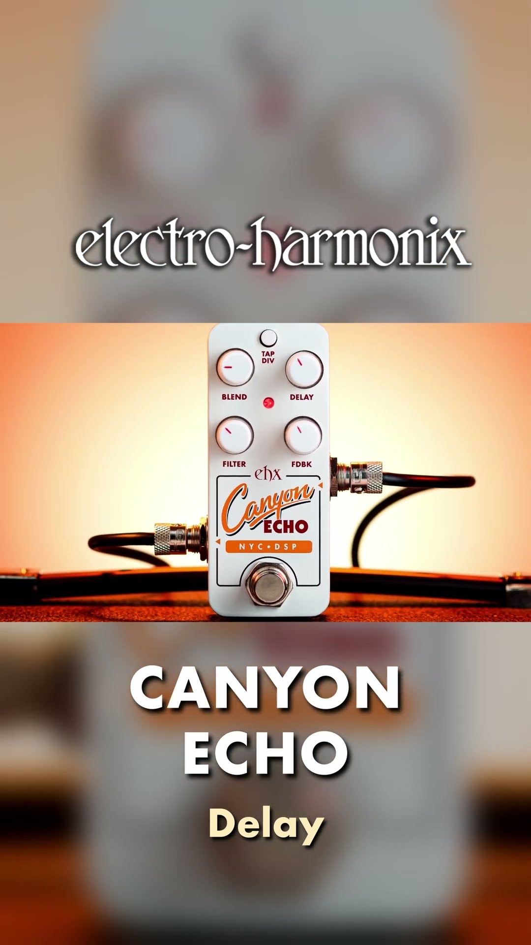 EHX Pico Canyon Echo Delay Pedal Demo - YouTube