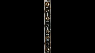 2hp Pluck - Eurorack Module on ModularGrid
