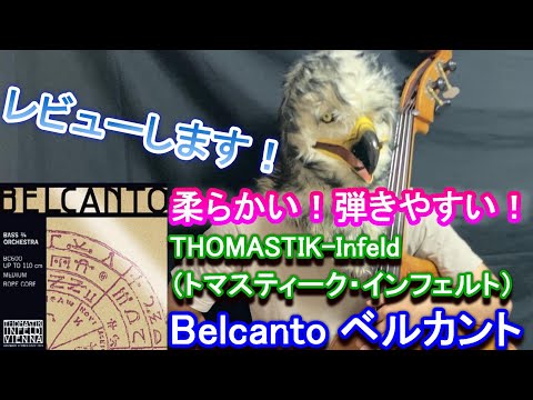 レビューします！】ベルカント コントラバス弦 //【Review!】THOMASTIK