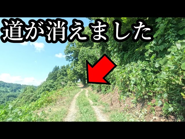 The road disappeared in an impossible direction I don't