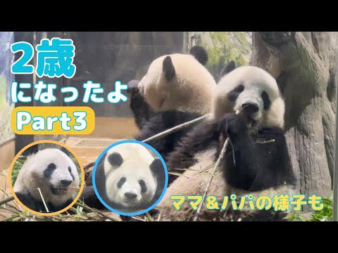 B&W Panda Channel, sometimes gray - YouTube