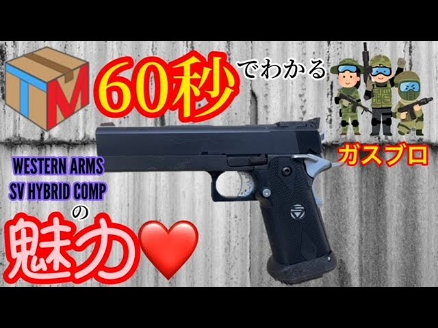 WESTERN ARMS(ウェスタンアームズ)】SVインフィニティ・リミテッド