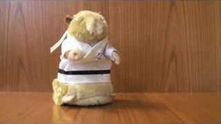 Kung Fu Hamster - YouTube