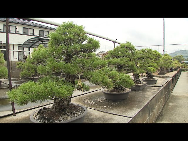 Commentary] Ban on export of 