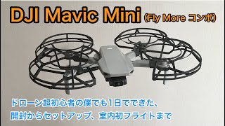 DJI Mavic Mini（Fly More コンボ）レビュー 開封からセットアップ