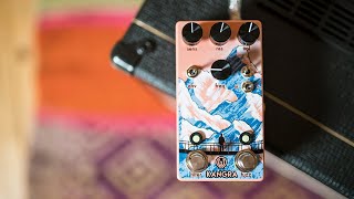 Walrus Audio Kangra Filter Fuzz | Demo and Overview with Jared