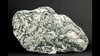 ツリーアゲート 原石 磨き 355g｜天然石 原石 通販のキラリ石