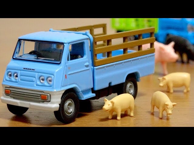 We also bought a realistic pig for our home☆Tomica Limited