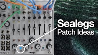 Intellijel Sealegs - Eurorack Module on ModularGrid