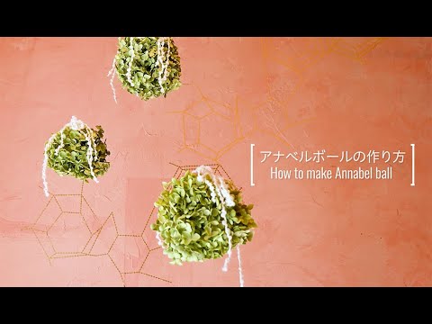 アナベルボールのつくり方 - YouTube