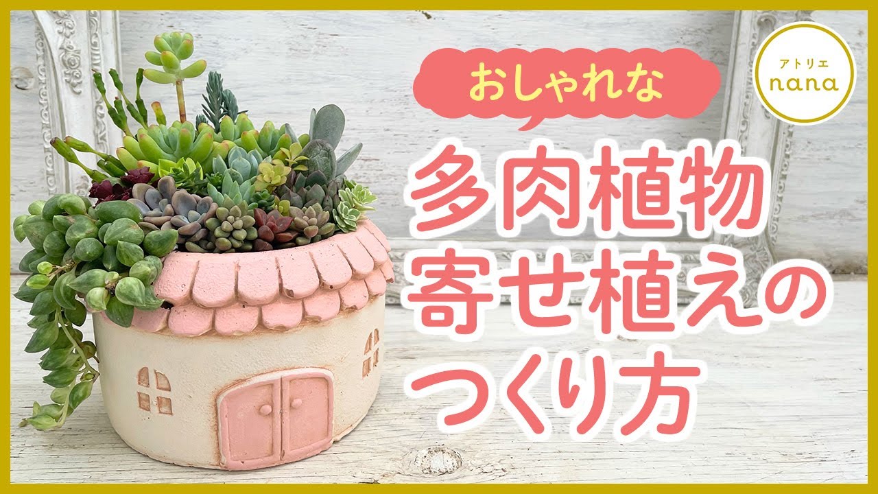 Succulents] How to make a stylish and cute succulent planter - YouTube