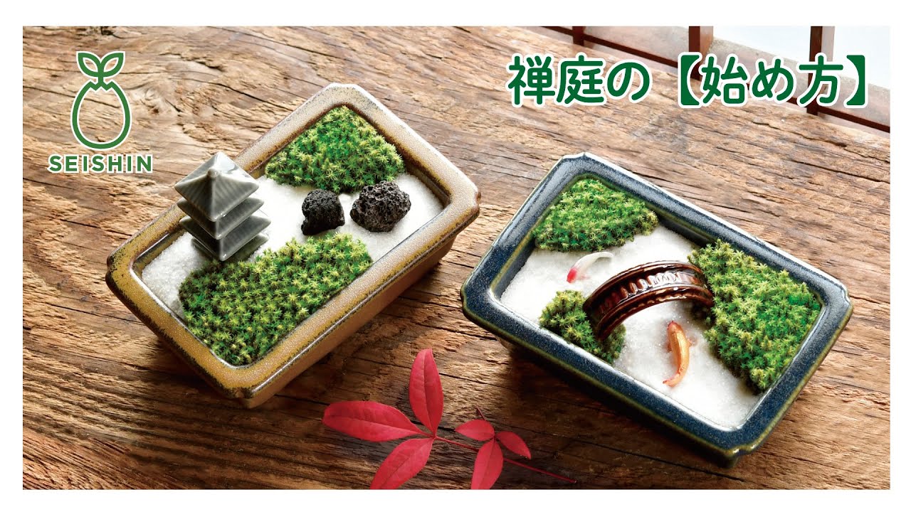 禅庭 - 聖新陶芸株式会社｜栽培キットの企画・製造・販売