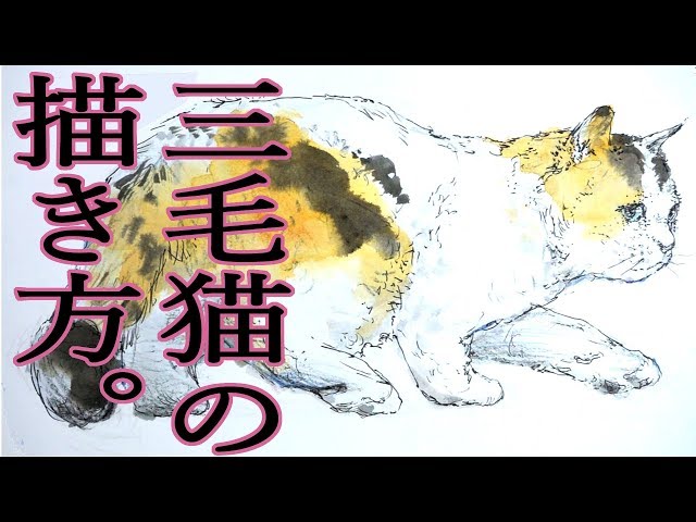 幸福の守り神！三毛猫の描き方 How to draw Tortoiseshell cat. - YouTube