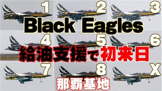 韓国空軍 ブラックイーグルス F/A-50 操縦士用 最新 パッチ ワッペン