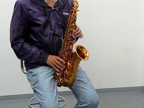 アルトサックス デイブ・ガーデラ(DAVE GUARDALA) DG-400AL - YouTube