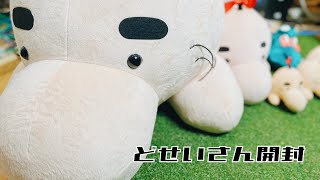 ひざたけどせいさん開封レビュー MOTHER2/マザー2/earthboud - YouTube