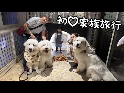 初♡】超大型犬3頭と狂犬と3歳児と初めて家族旅行に行ってきました