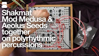 Shakmat Aeolus Seeds - Eurorack Module on ModularGrid