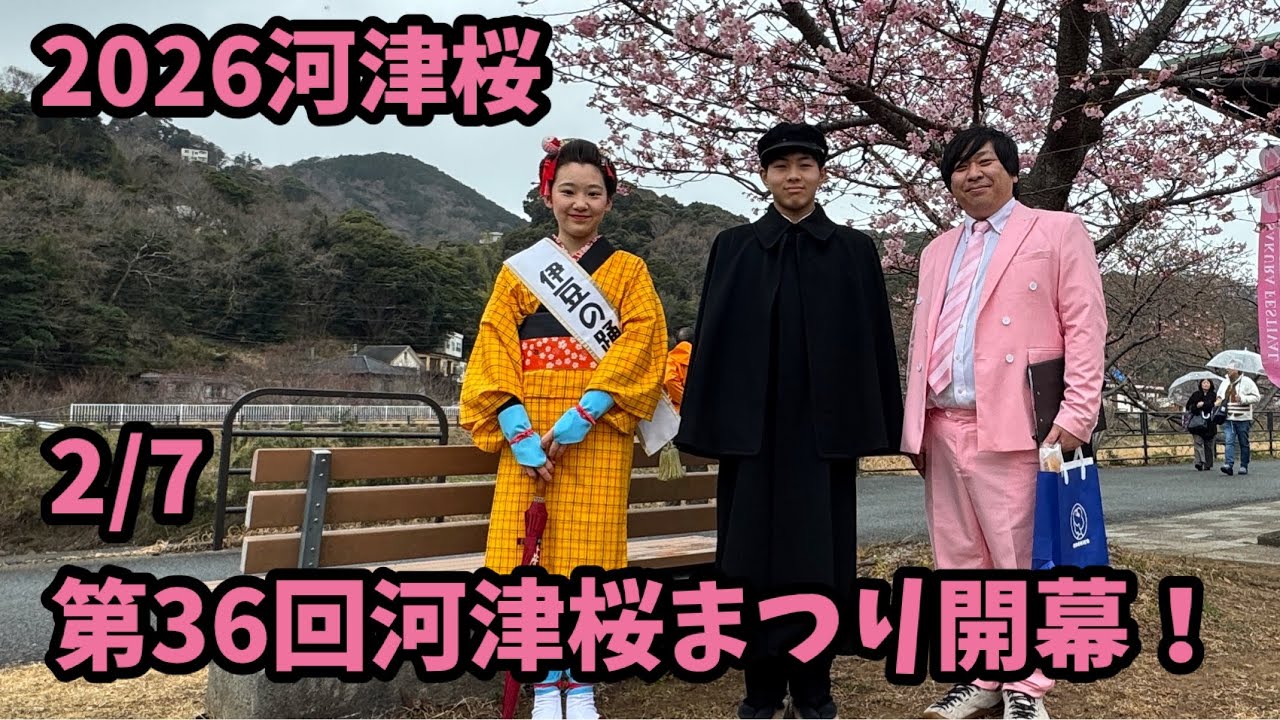 2026 Kawazu Cherry Blossoms] 2/7 The 36th Kawazu Cherry Blossom