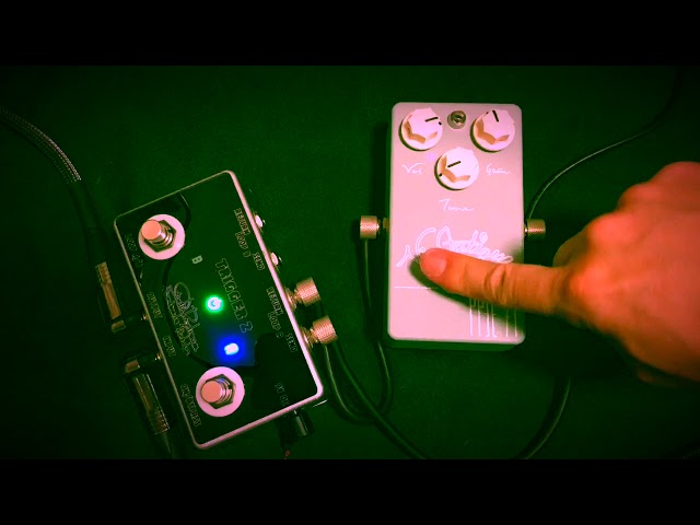 Vin-Antique PPSE '79」サウンドレビュー！with Groove Tube STP-G