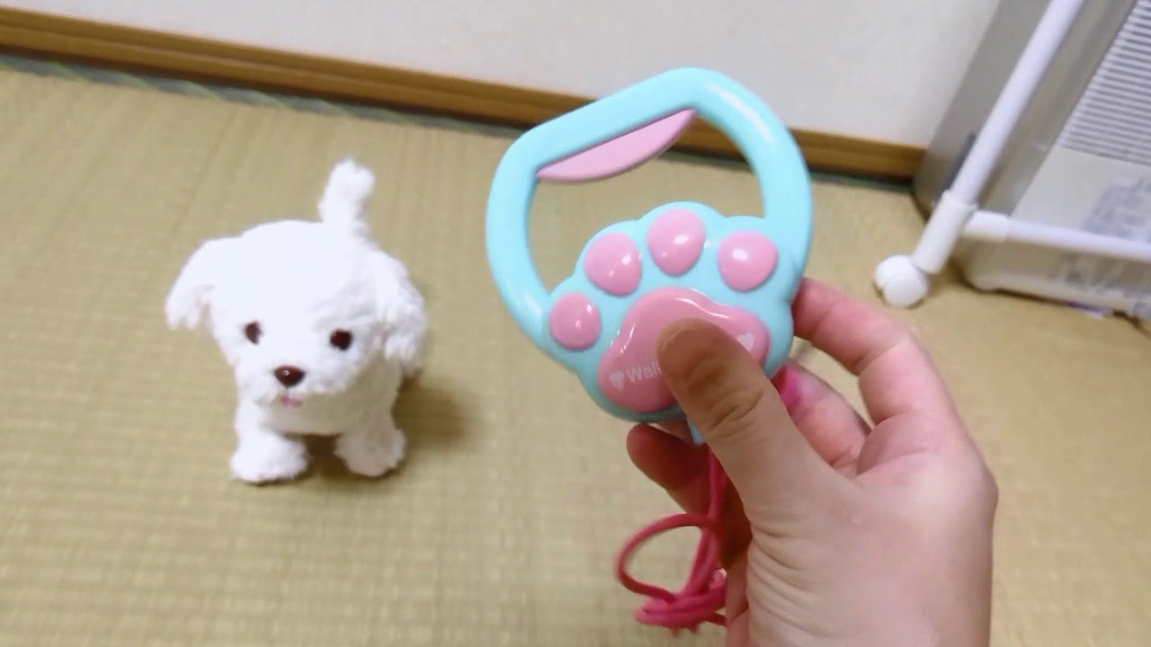 いっしょおさんぽ プードルくん 白 犬 マザーガーデン - YouTube