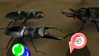 アーケード] 甲虫王者 ムシキング アダーの計画編3 - パラワンオオ