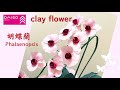 樹脂粘土の花17】胡蝶蘭How to Make Cute Clay Flowers at Home - YouTube