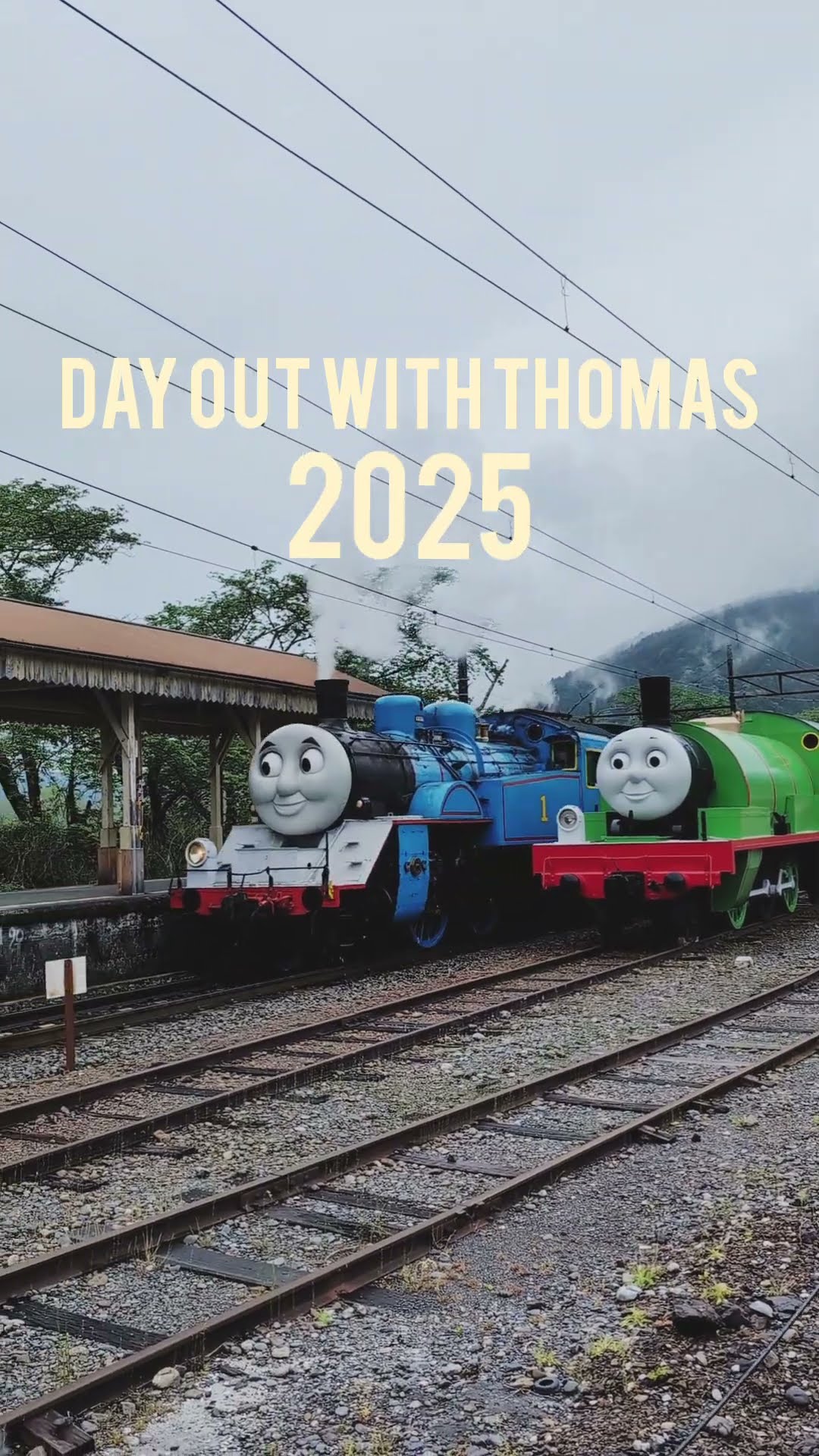 The Oigawa Railway Thomas the Tank Engine plastic kit has been