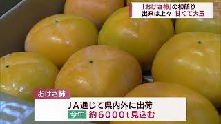 佐渡市長も太鼓判！秋の味覚「おけさ柿」初競り スーパーJにいがた10