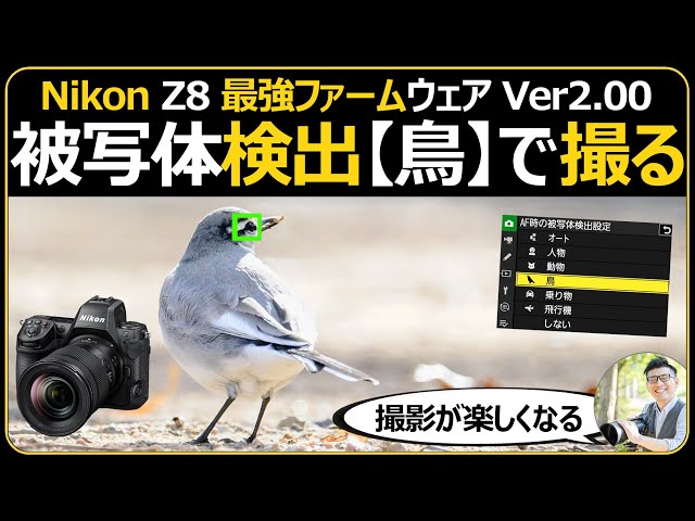Nikon Z8 ファームウェアVer2.00で撮る野鳥撮影 【被写体検出が強化