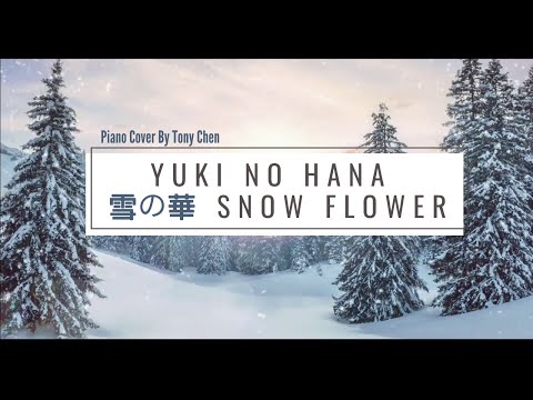 雪の華/Yuki no Hana(Snow Flower) - Piano Cover By Tony Chen - Mika