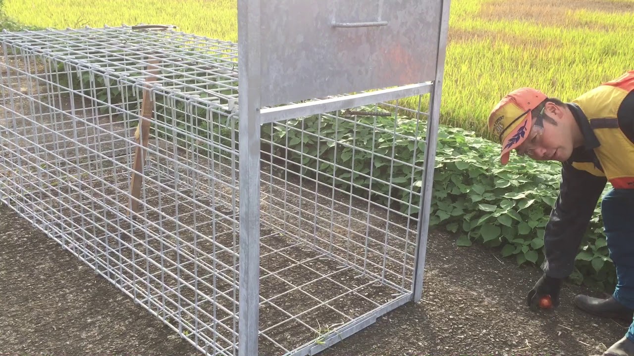 太田式マトリョーシカ箱罠と仕掛けの説明 - YouTube