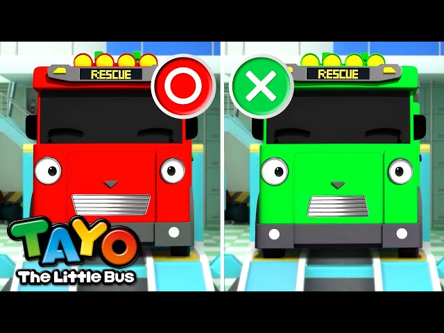 🌈 カラフルいろクイズ！l あか vs みどり｜🌈どんな色がすき l