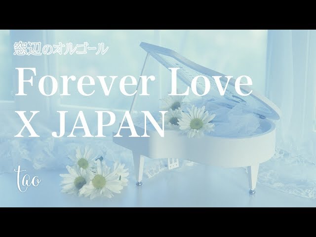 オルゴール♫ 「Forever Love」/ X JAPAN - YouTube
