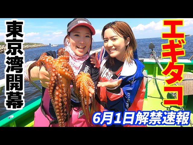 Egi Octopus] 2024 Tokyo Bay Opening!! We will tell you about the