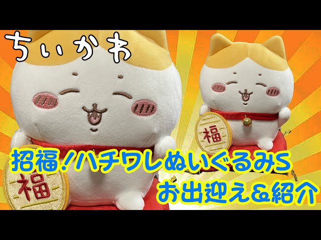 ちいかわ＞招福！ハチワレぬいぐるみSの紹介♪ - YouTube