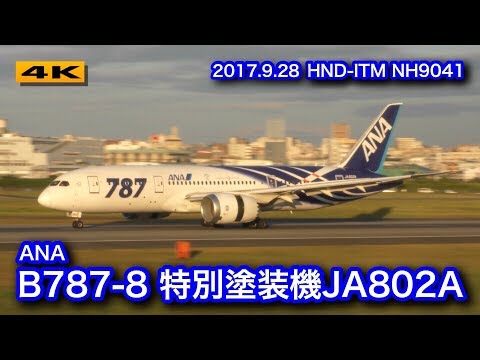 ANA B787-8特別塗装機JA802A フェリーフライト 大阪国際空港(伊丹空港