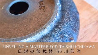 Unveiling a Masterpiece: Taishu Ichikawa 伝説の盆栽鉢 市川苔洲