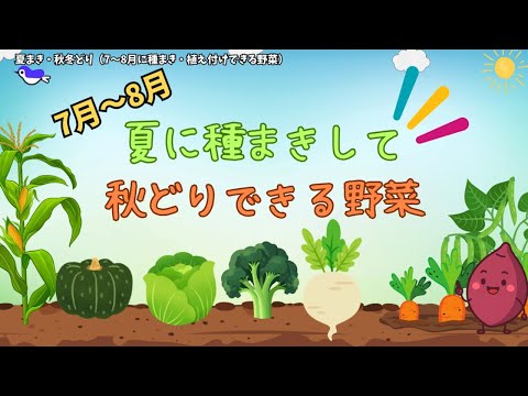 Summer-sown, autumn-harvested vegetables: 16 vegetables you can