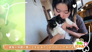 わんにゃんず】まおちゃん 9才 ぐぐちゃん 9月29日放送 - YouTube