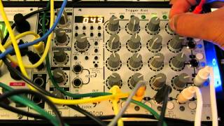 Tiptop Audio Trigger Riot— Clockface Modular
