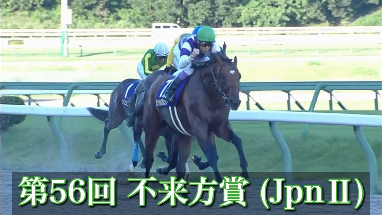 第56回 不来方賞 (JpnⅡ)】 2024 9/3 盛岡競馬場 優勝馬:サンライズ