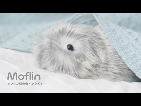 Moflin: the AI pet whose emotions develop through human