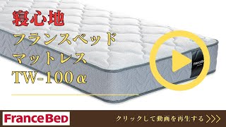 フランスベッド（FRANCEBED） 正規品 マットレス セミダブル TW-100α