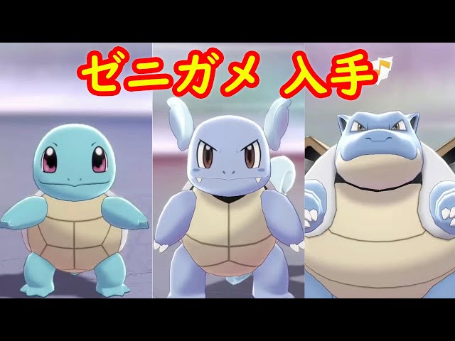 ゼニガメ → カメール → カメックス】入手 攻略 + キャンプで遊ぶ