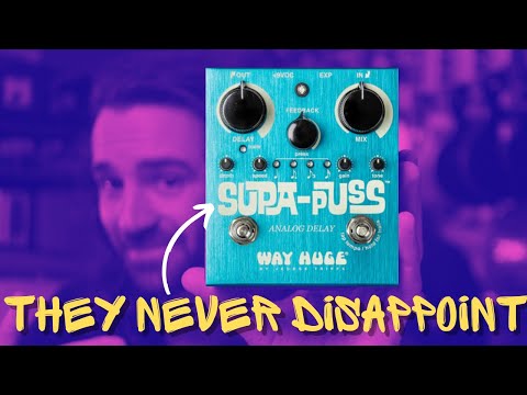 Way Huge Supa-Puss | An Analog Delay Like No Other - YouTube