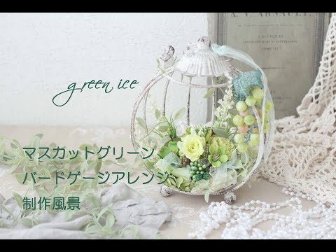 マスカットグリーンバードゲージアレンジ プリザーブドフラワー