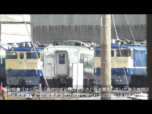 2両のﾌﾞﾙﾄﾚ牽引機 保管場所で並ぶ 東京機関区所属歴のあるEF65が長野