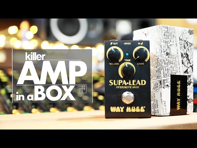 Way Huge 'Smalls' Supa Lead MkIII - YouTube